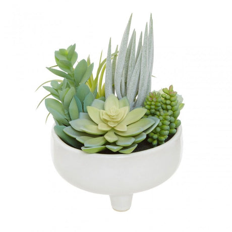 Fiori Mixed Succulents In Large Ceramic Pot