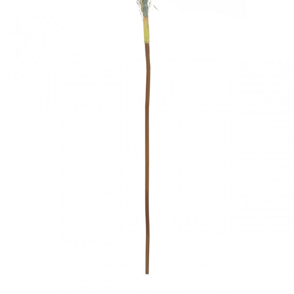 Fiori Pampas Grass Blue Stem