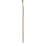 Fiori Pampas Grass Blue Stem