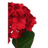 Fiori Hydrangea Stem Red Flower - 74Cm
