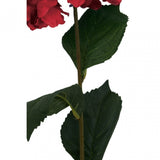 Fiori Hydrangea Stem Red Flower - 74Cm