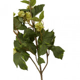 Fiori Pale Lime Hops - 88Cm