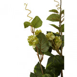 Fiori Pale Lime Hops - 88Cm