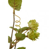 Fiori Pale Lime Hops - 88Cm