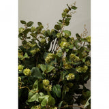 Fiori Pale Lime Hops - 88Cm