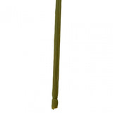 Fiori Peony Stem Fuchsia Flower - 65Cm
