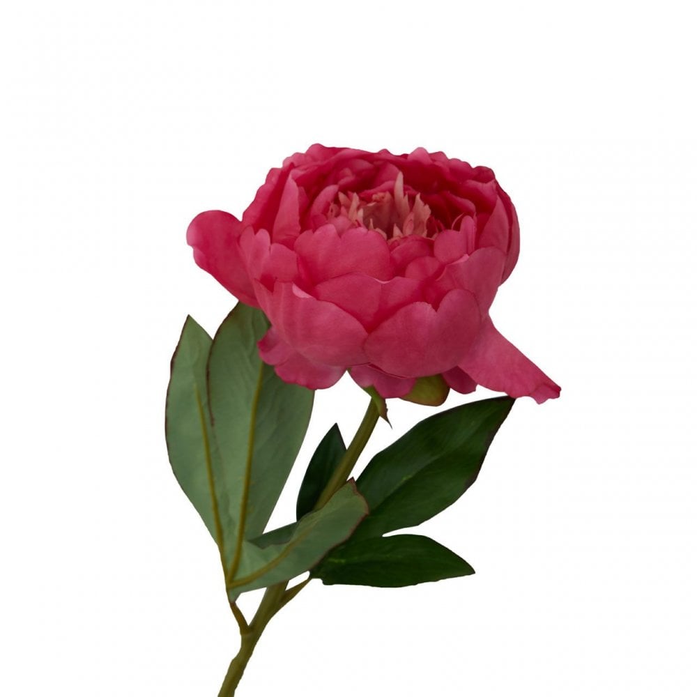 Fiori Peony Stem Fuchsia Flower - 65Cm