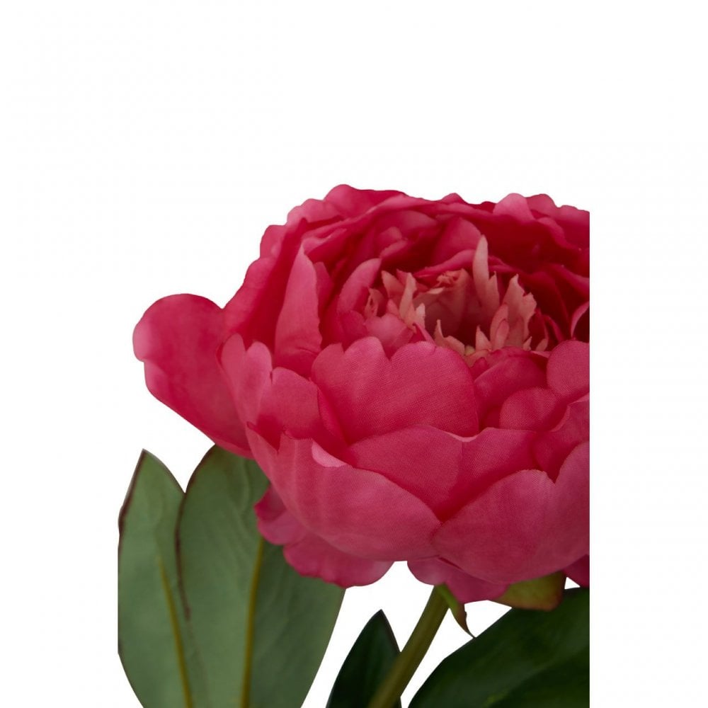 Fiori Peony Stem Fuchsia Flower - 65Cm