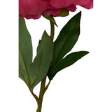 Fiori Peony Stem Fuchsia Flower - 65Cm