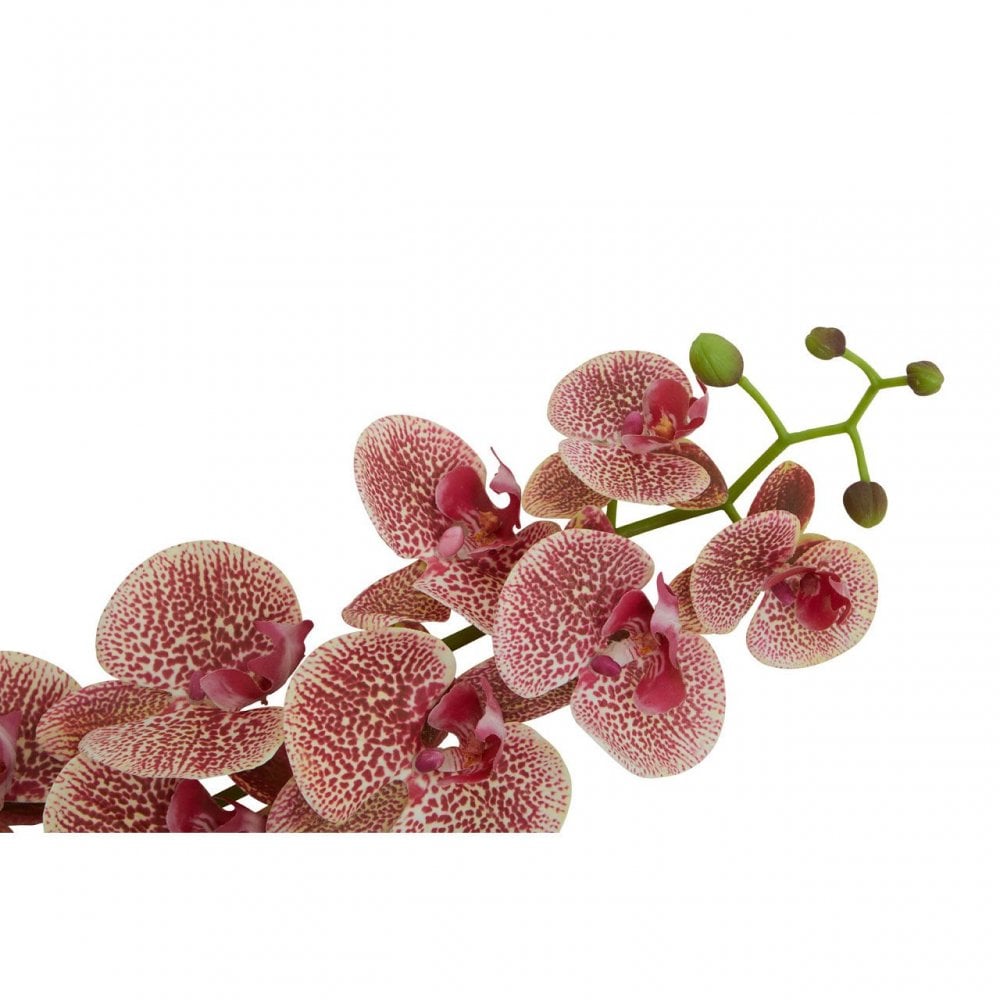 Fiori Spray Pink Orchid - 100Cm