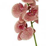 Fiori Spray Pink Orchid - 100Cm