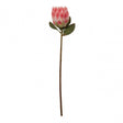 Fiori Protea Stem Pink Flower - 62Cm