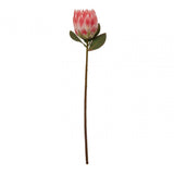 Fiori Protea Stem Pink Flower - 62Cm