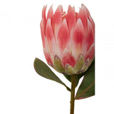 Fiori Protea Stem Pink Flower - 62Cm