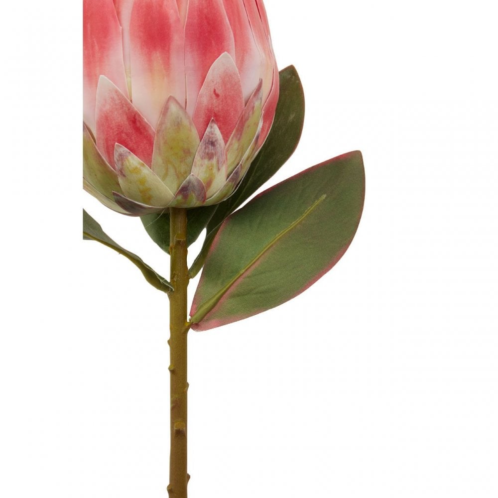 Fiori Protea Stem Pink Flower - 62Cm