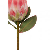 Fiori Protea Stem Pink Flower - 62Cm