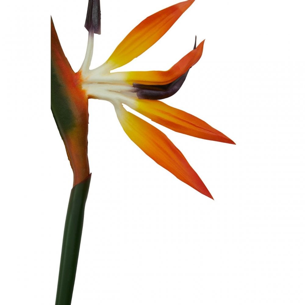 Fiori Bird Of Paradise - 92Cm