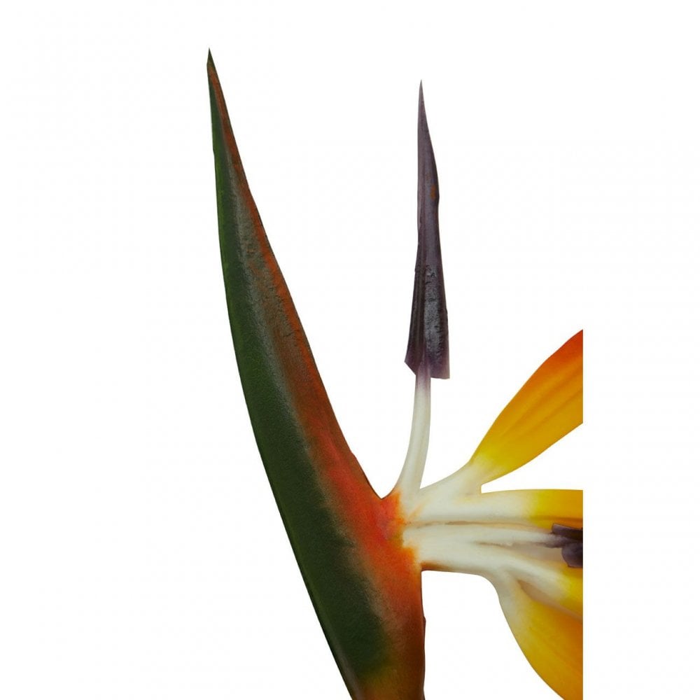 Fiori Bird Of Paradise - 92Cm