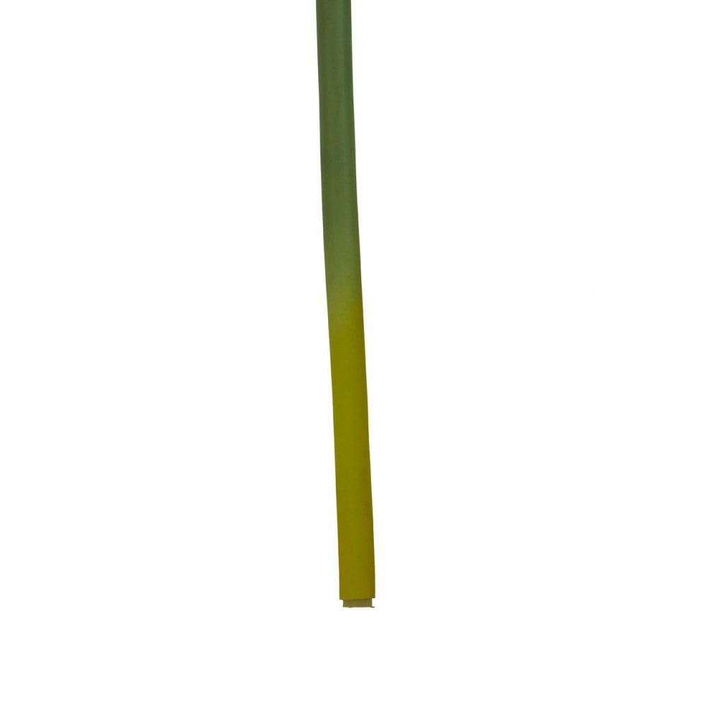 Fiori Amarylilis Stem Burgundy Flower - 72Cm
