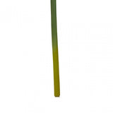 Fiori Amarylilis Stem Burgundy Flower - 72Cm