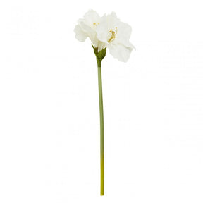 Fiori Amarylilis Stem Ivory Flower - 72Cm