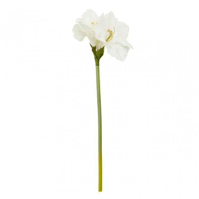 Fiori Amarylilis Stem Ivory Flower - 72Cm