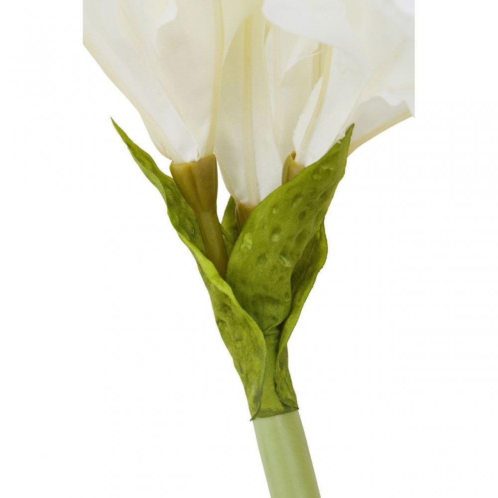Fiori Amarylilis Stem Ivory Flower - 72Cm