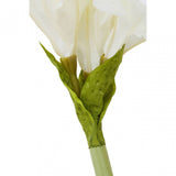 Fiori Amarylilis Stem Ivory Flower - 72Cm