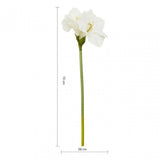Fiori Amarylilis Stem Ivory Flower - 72Cm