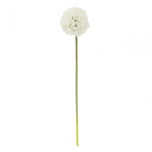 Fiori Allium Stem Ivory Flower - 72Cm