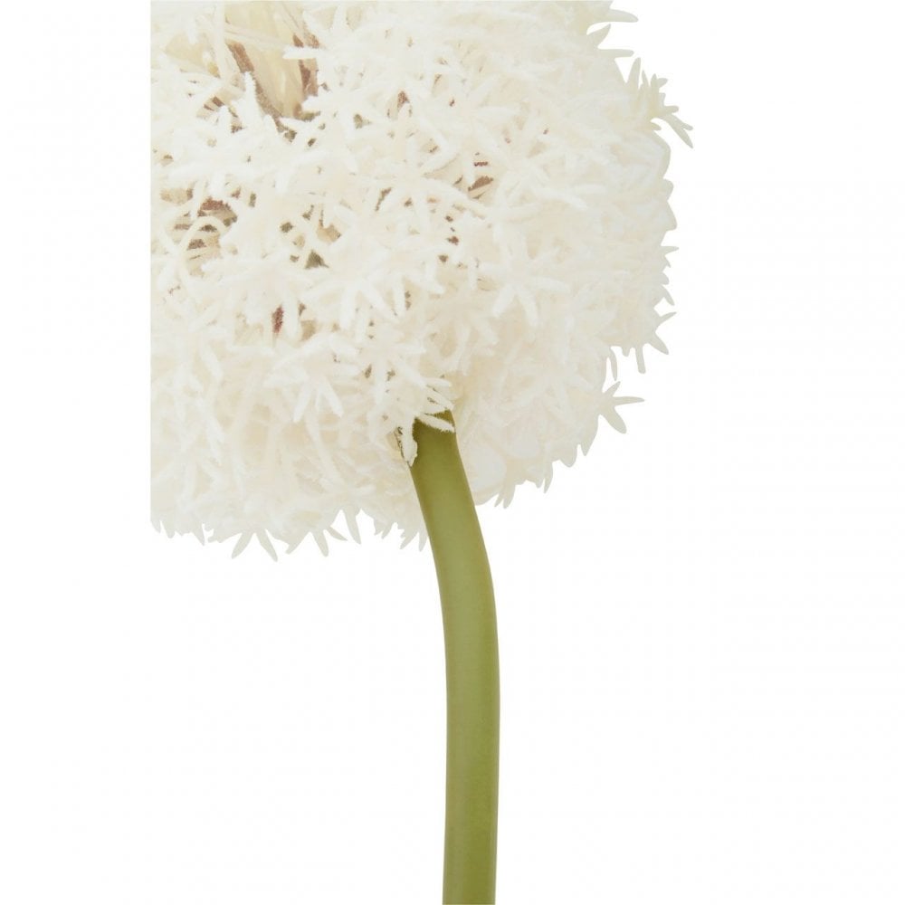 Fiori Allium Stem Ivory Flower - 72Cm