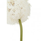 Fiori Allium Stem Ivory Flower - 72Cm