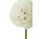 Fiori Allium Stem Ivory Flower - 72Cm