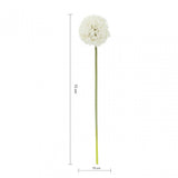 Fiori Allium Stem Ivory Flower - 72Cm