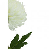Fiori Chrysanthemum Stem White Flower - 84Cm