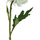 Fiori Chrysanthemum Stem White Flower - 84Cm