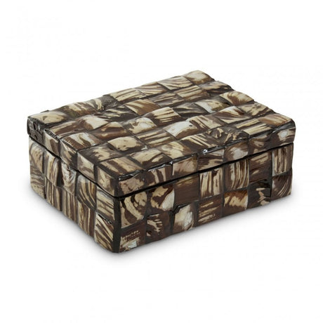 Branna Small Natural Shell Detail Box