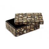 Branna Small Natural Shell Detail Box