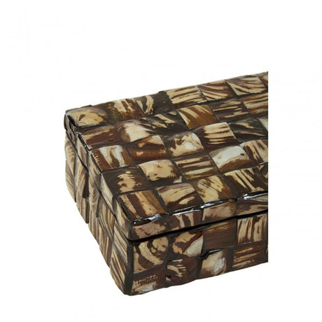 Branna Small Natural Shell Detail Box