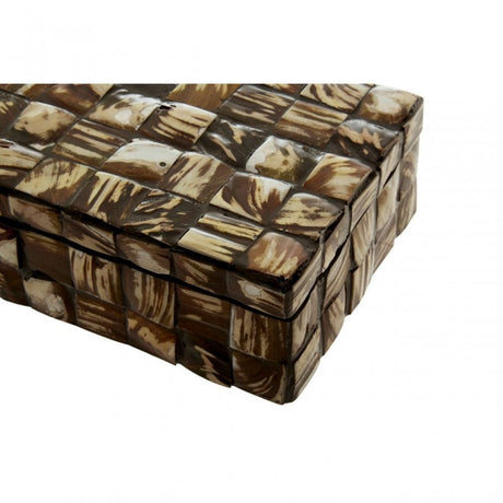 Branna Small Natural Shell Detail Box