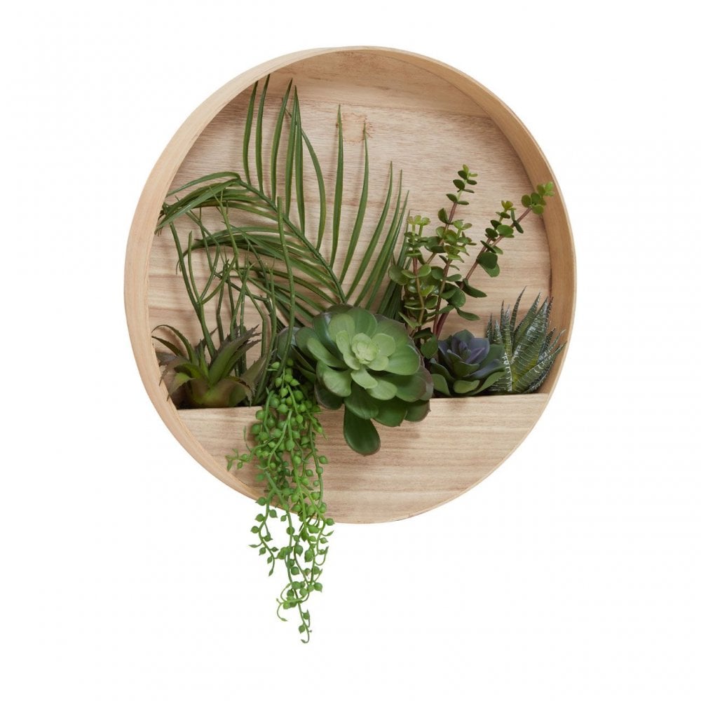 Fiori Mixed Succulents In Wood Wall Planter