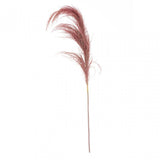 Fiori Pink Stem Pampas Grass