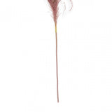 Fiori Pink Stem Pampas Grass