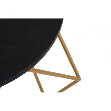 Varana Coffee Table