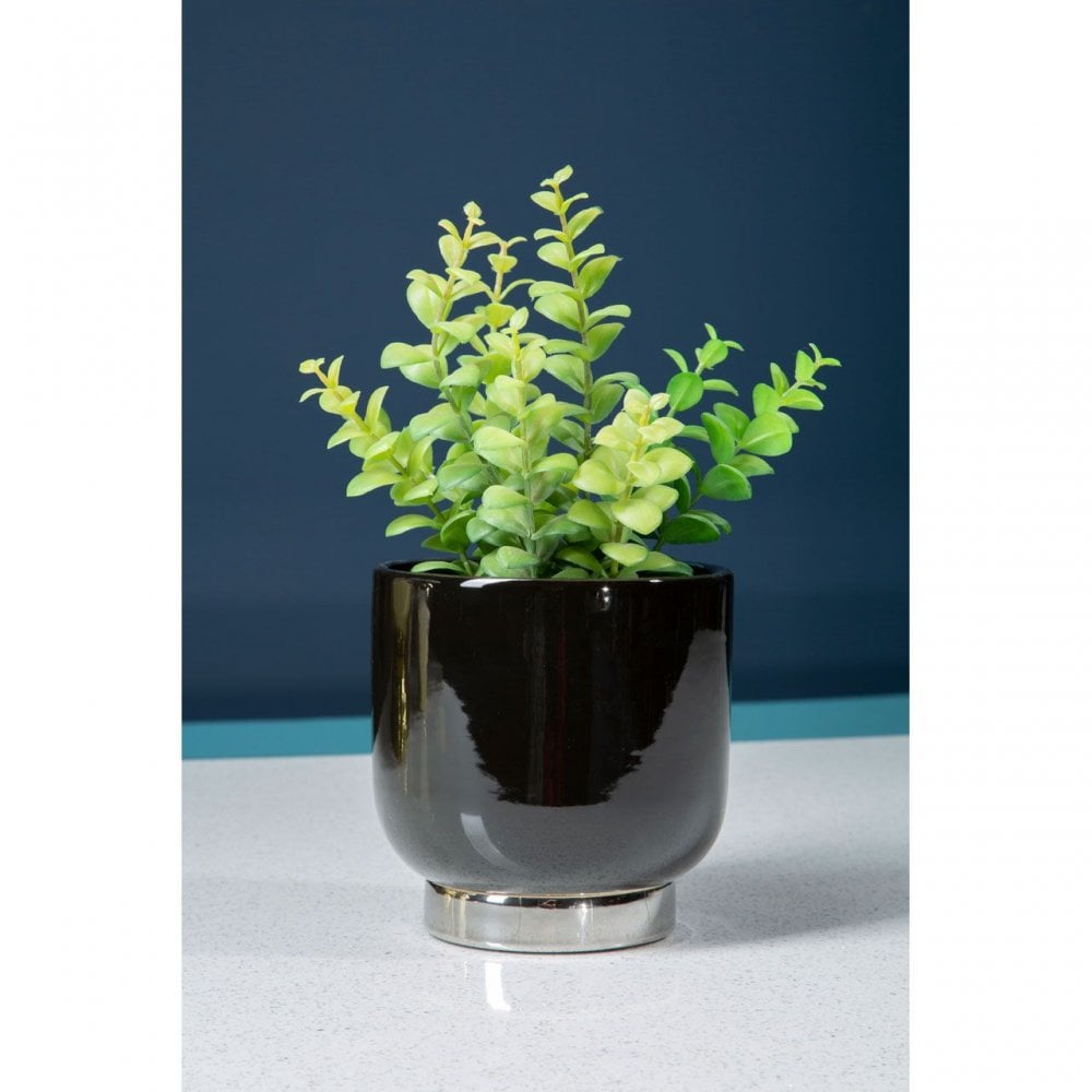 Callie Small Planter