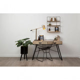 Darnell Small Black Finish Planter
