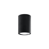 Black Steel Lagos Ceiling Light Fixture