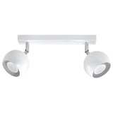 Modern White Dual Light Steel Ceiling Fixture