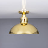 Vintage Parisian Brass Ceiling Light Fixture, Antique Finish