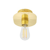 Kigoma Vintage Brass Ceiling Light Fixture